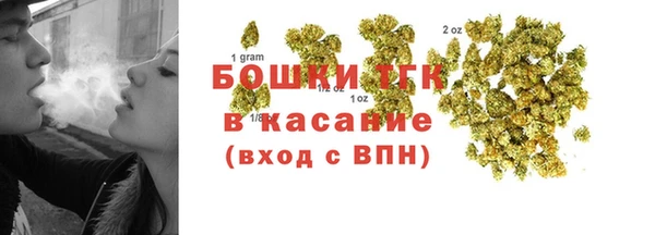 гидра Аркадак