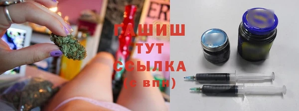 гидра Аркадак