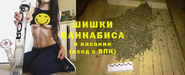 гидра Аркадак