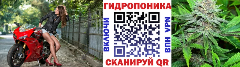 MEGA как войти  Багратионовск  Марихуана SATIVA & INDICA 